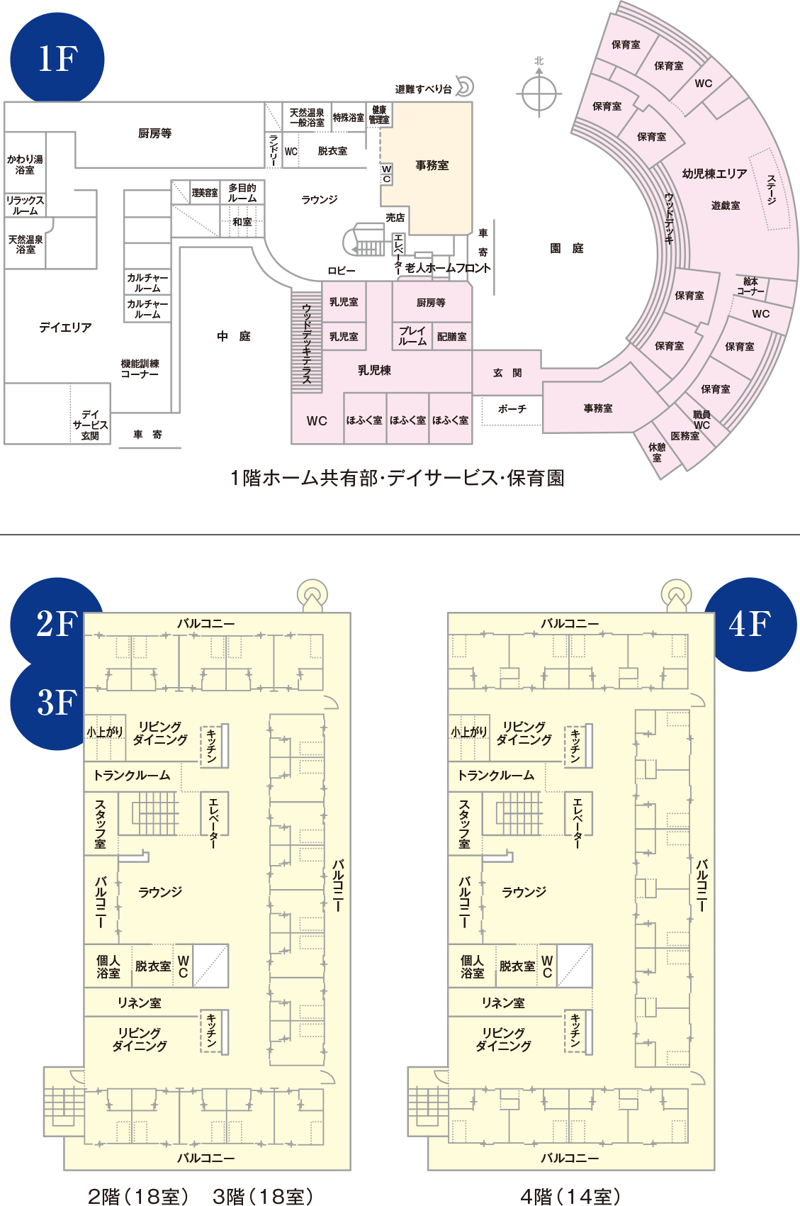 平面図